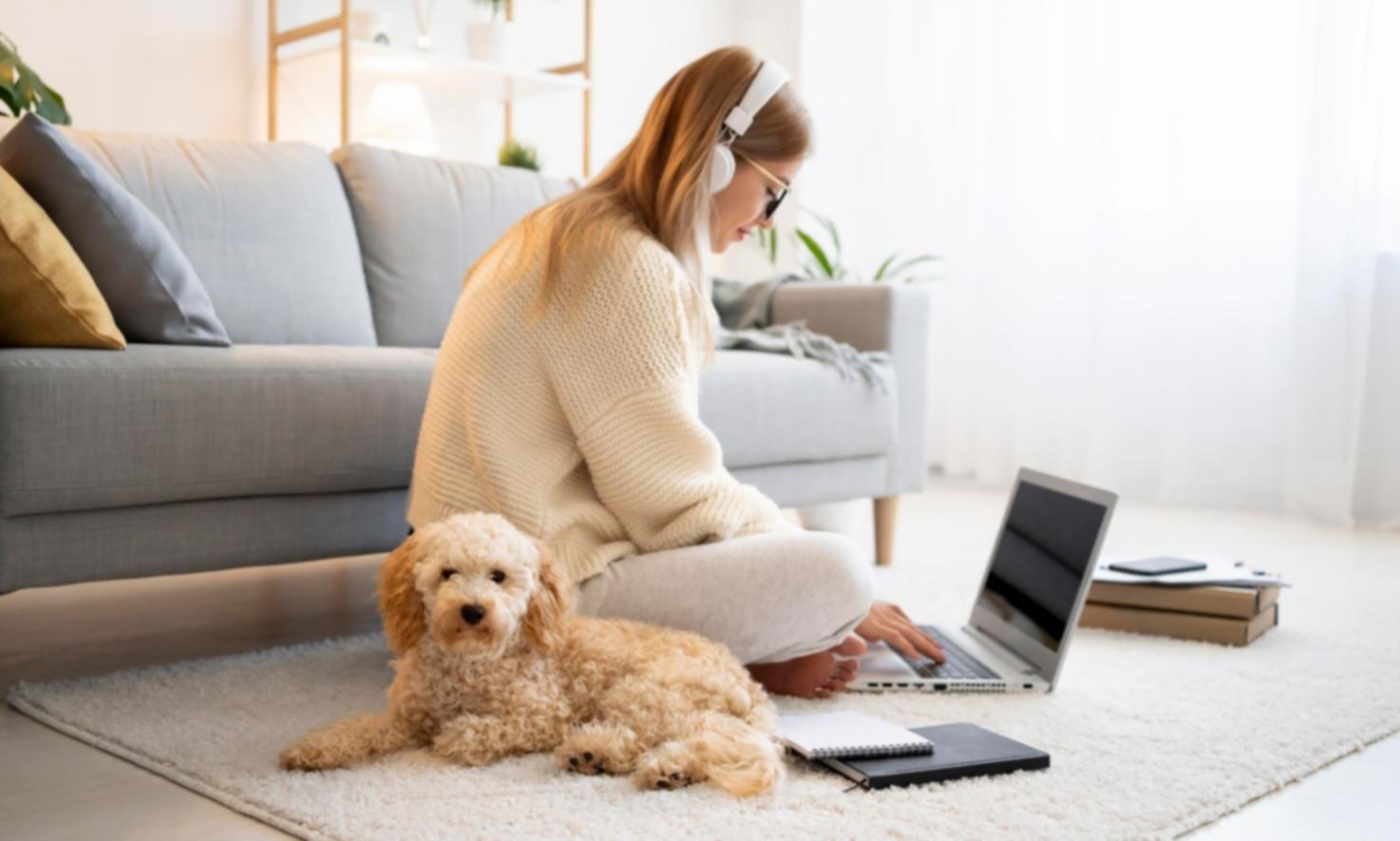 Consultoría personalizada en análisis de mercados financieros y estrategias de trading